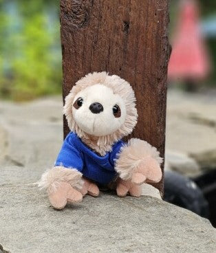 International Gymnastics Sale